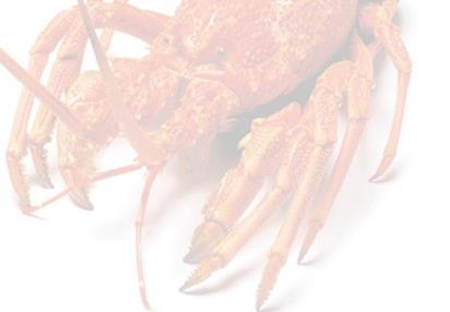 NATIONAL ROCK LOBSTER MANAGEMENT GROUP Review of Rock Lobster Sustainability Measures for 1 April 2016 Final Advice Paper Prepared by the