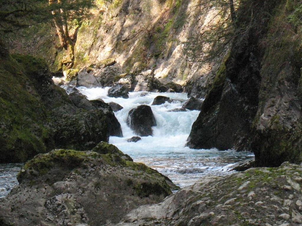 Project streams Supplemented: Dewatto, Duckabush & SF Skokomish Rivers Control: Big