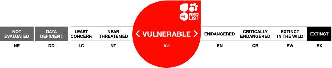 Rabies in Mammals - IUCN Red List Endangered 3 Vulnerable 3 Near