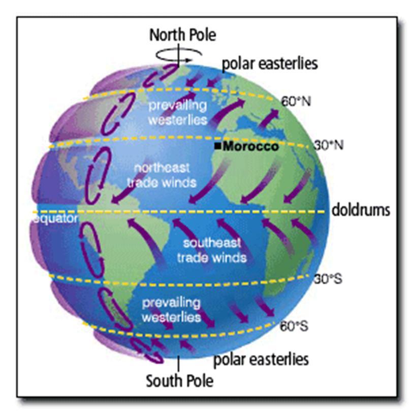 Convection Cells Uneven distribution of heat energy on Earth causes differences in air