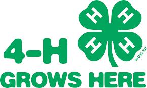 Premium money will be paid to 4-H members for the projects they exhibited in each club.