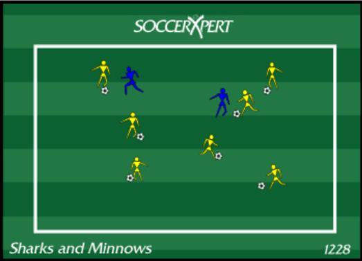 SHARKS AND MINNOWS - U4 AND U5 DIVISIONS 1. Build a grid approximately 40x30 (half field). The field size can be adjusted based on the skill level and number of players participating. 2.