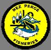 NEZ PERCE TRIBE Department of Fisheries Resources Management Administration Enforcement Harvest Production Research Resident Fish Watershed ADMINISTRATION