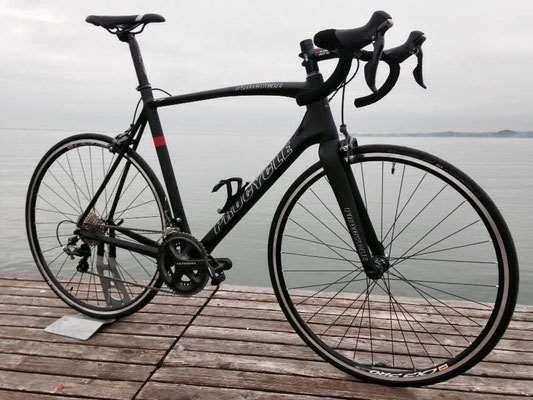Bikes Full Carbon Cycle Procycle Ultegra with frame size from 50 to 61 cm. Aluminium frame, Shimano Ultegra gearing, pedals from Shimano SPD SL or Look, repair set and tube.
