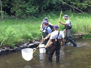 The Hepworth Anglers Club resumed the sixth year of the Spring Creek Restoration Project by planting trees along the stream banks.
