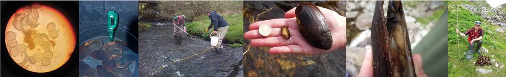 In Scotland we set up Riverwatch schemes in 16 catchments to help tackle wildlife crime; working with river and land
