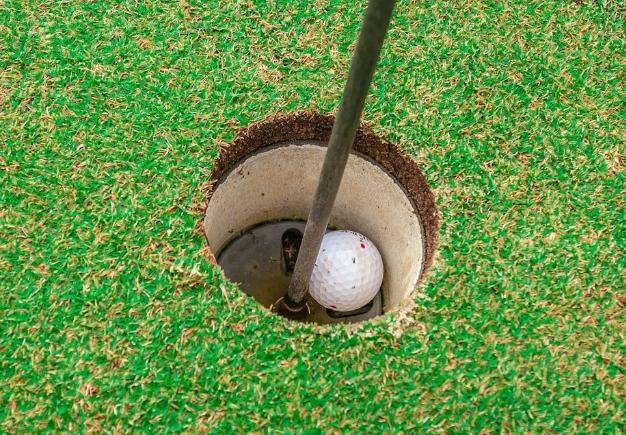 Areas of the Course Putting Green Flagstick Left in the Hole The
