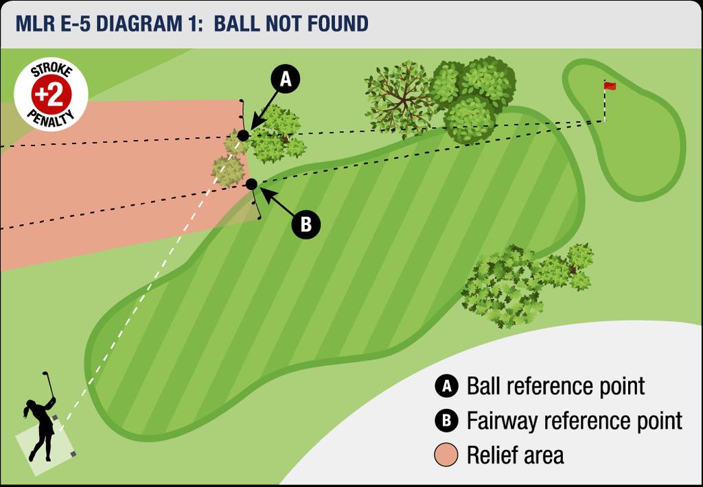 CONGU Considerations Stroke & Distance Local Rule Provides an extra