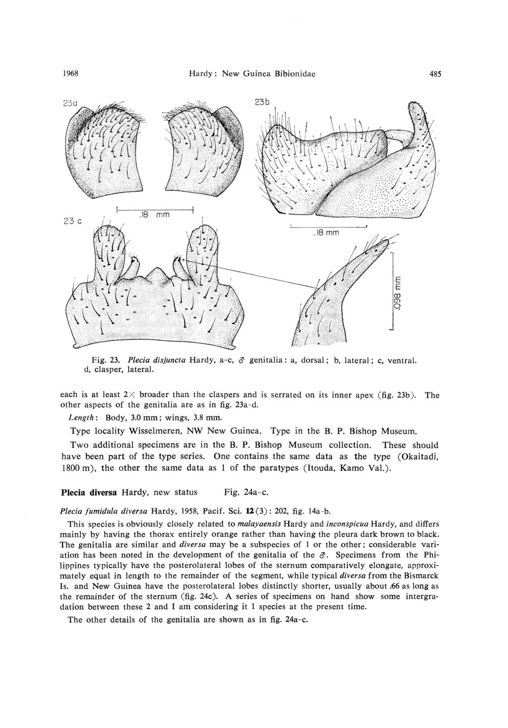 1968 Hardy: New Guinea Bibionidae 485 Fig. 23. Plecia disjuncta Hardy, a-c, & genitalia: a, dorsal; b, lateral; c, ventral. d, clasper, lateral.