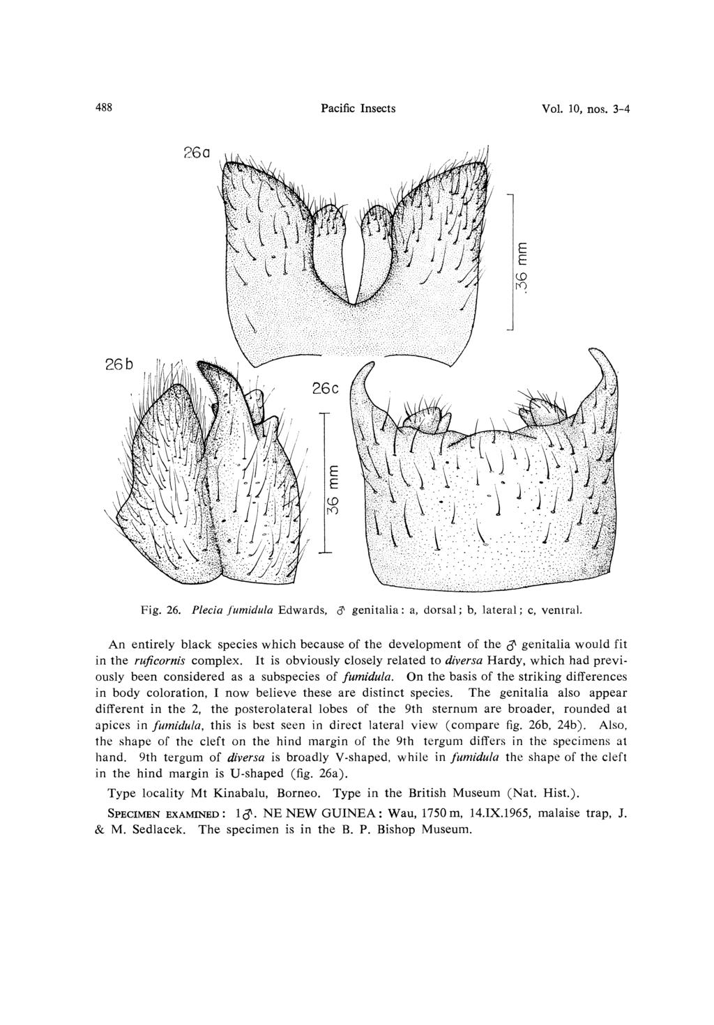 488 Pacific Insects Vol. 10, nos. 3-4 Fig. 26. Plecia fumidula Edwards, & genitalia: a, dorsal; b, lateral; c, ventral.