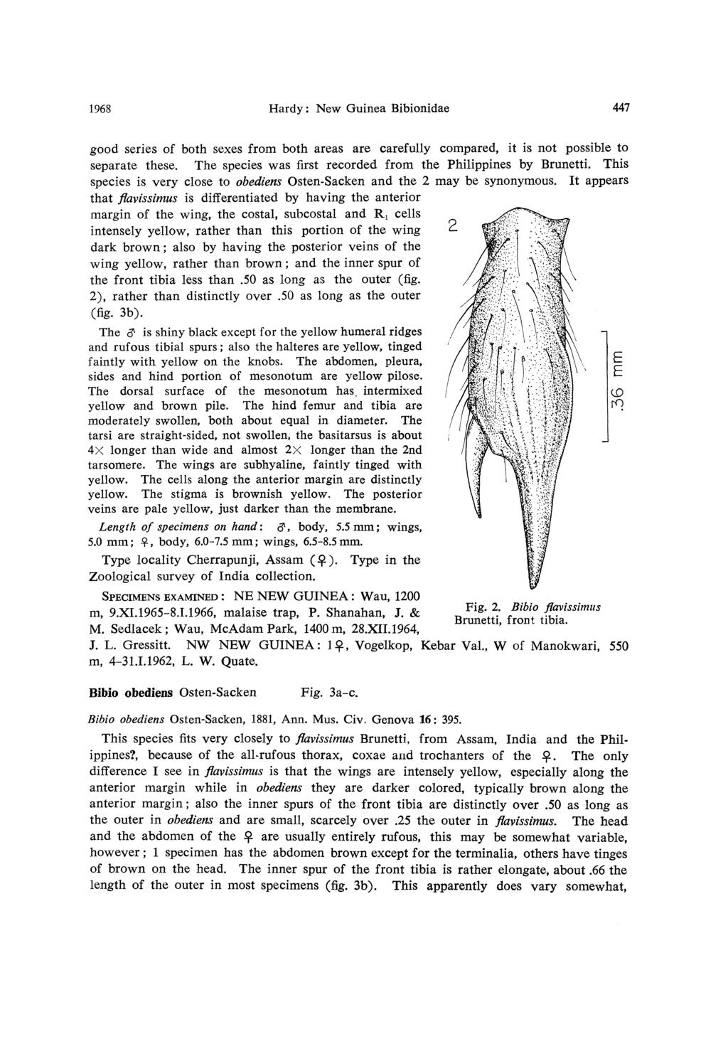 1968 Hardy: New Guinea Bibionidae 447 good series of both sexes from both areas are carefully compared, it is not possible to separate these.