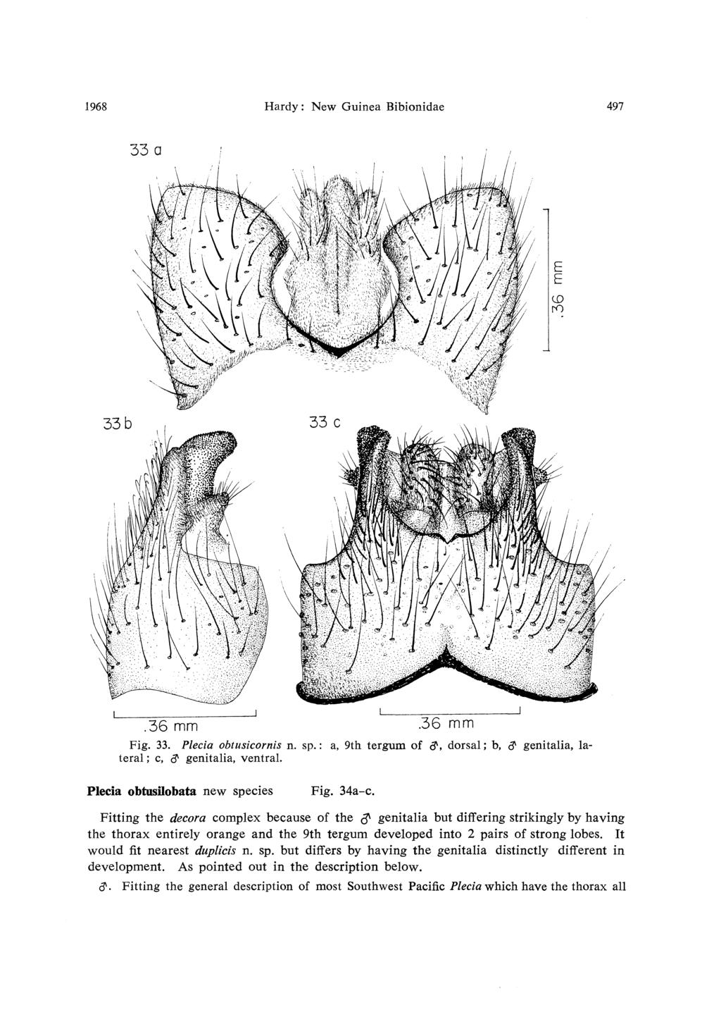 1968 Hardy: New Guinea Bibionidae 497 33 a.36 mm 36 mm Fig. 33. Plecia obtusicornis n. sp.: a, 9th tergum of &, dorsal; b, & genitalia, lateral ; c, & genitalia, ventral.
