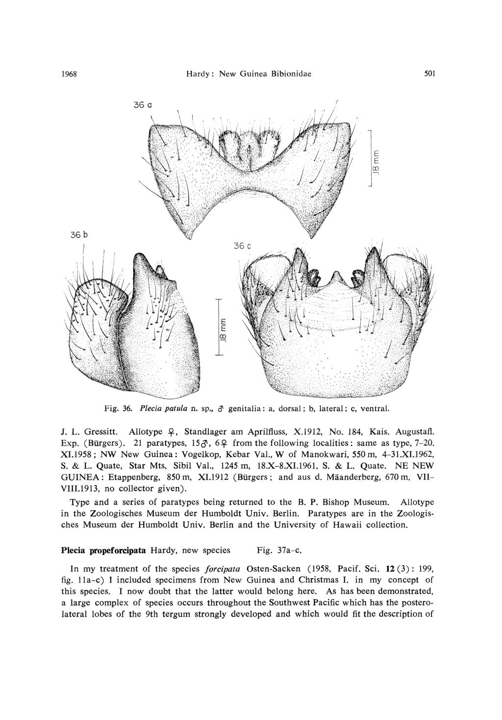 1968 Hardy: New Guinea Bibionidae 501 Fig. 36. Plecia patula n. sp., # genitalia: a, dorsal; b, lateral; c, ventral. J. L. Gressitt. Allotype, Standlager am Aprilfluss, X.1912, No. 184, Kais.