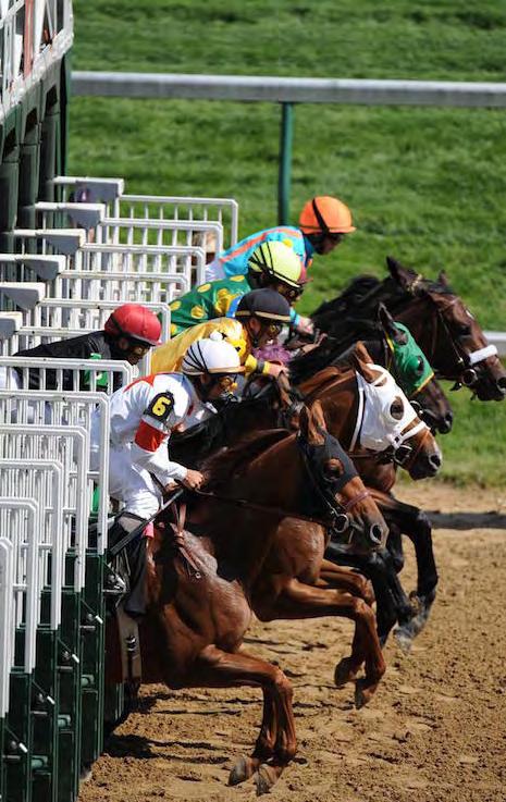 Derby Experiences Private Parking PADDOCK GATE Kentucky Derby and Kentucky Oaks