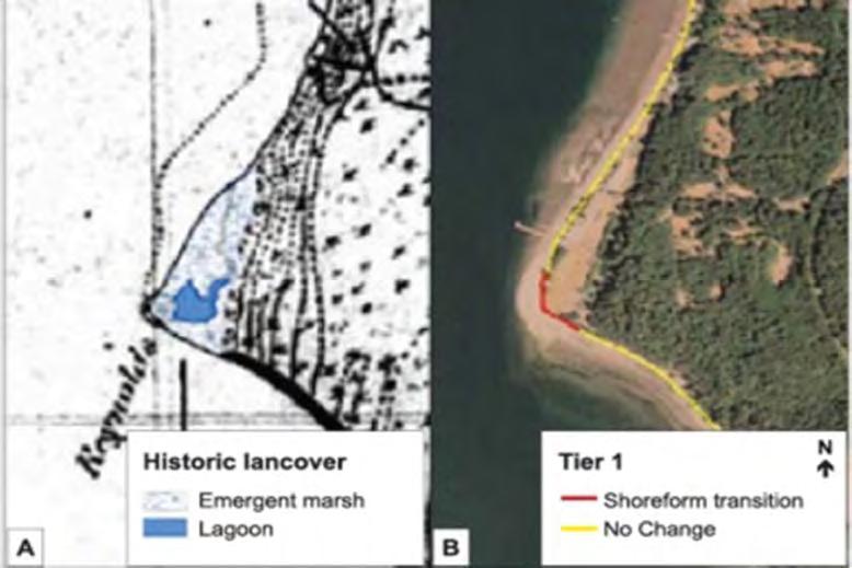 1. Barriers in large river deltas restrict the movement of fresh water and tides. 2.