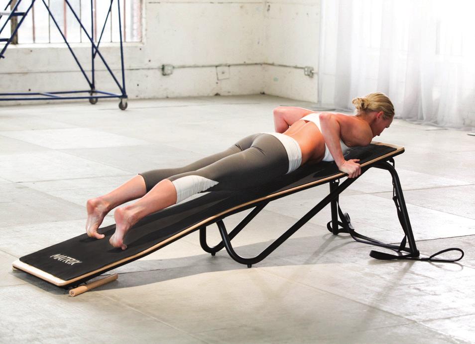 PUSHUP From PLANK, bring weight onto hands Move hands outward and hold sides of board, gripping rails.