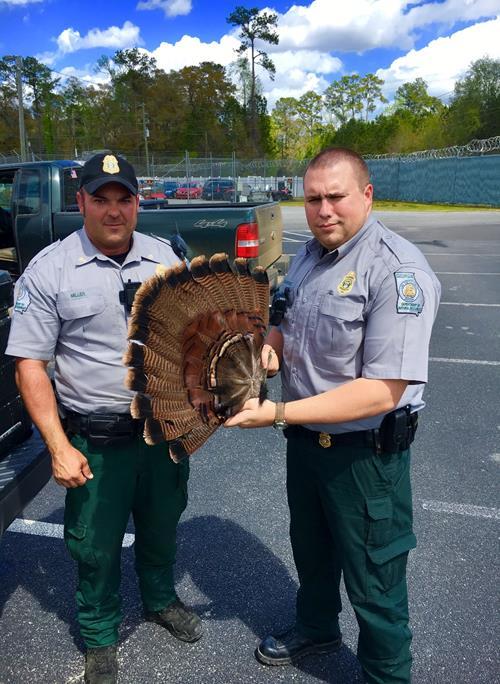 TELFAIR COUNTY On March 31st, Game Warden Lamar Burns conducted an area patrol at Horse Creek Wildlife Management Area for turkey hunting activity. Four hunters were checked for compliance.