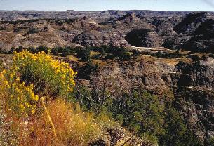 Read all about North Dakota photo courtesy National Park Service in by Betty Debnam Appearing in your newspaper on. from The Mini Page by Betty Debnam 2003 The Mini Page Publishing Company Inc.