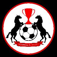 Middleton Colts FC Middleton Rotary, Boarshaw Pharmacy Anthony Courtney 14 Netley Avenue, Rochdale OL12 0BE Mobile: 07951715824 Email: anthony.courtney1@ntlworld.
