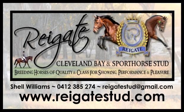 Reigate Cleveland Bay & Sporthorse Stud Michelle Williams PO Box 62, Dartmoor VICTORIA 3304 Mobile: 0412 385 274 Email: reigatestud@gmail.com Website: www.