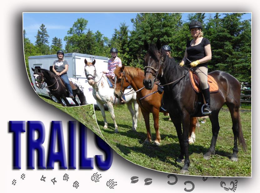 ROCKY HILLS HORSE CLUB MARCH 2016 NEWSLETTER BACK AND BETTER THAN EVER! Wow, 2015 was a really great year, with lots of horse events happening in and around the Rocky Hills area.