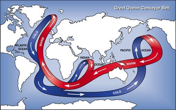 global circulation of deep ocean currents transports warm water to colder areas &