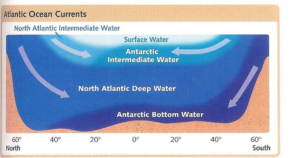polar water is the most dense because it s cold when water freezes, it leaves behind salt