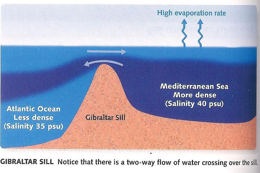 increased evaporation leaves salt behind, which increases the density