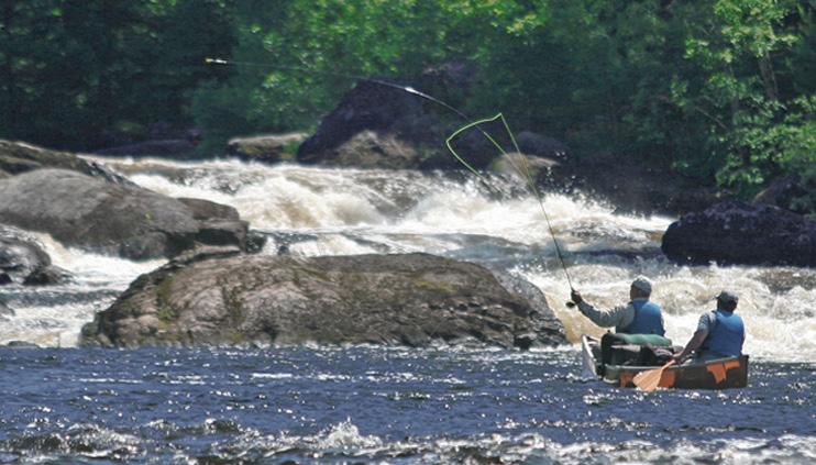 Three pillars conservation, education and community provide the foundation for our vision of the future of fly fishing a future in which anglers have access to prime waters where fish can thrive in