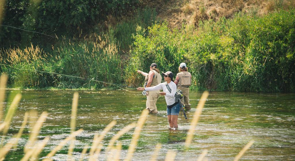 INTERNATIONAL FLY FISHING FAIR & FISHFEST For 52 years, The International Fly Fishing Fair has served as the annual gathering place for members from all over the globe.