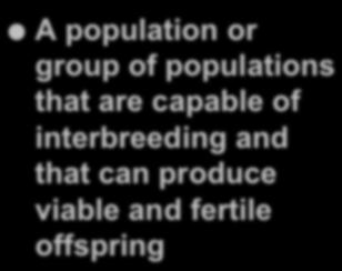 Species A population or group of populations