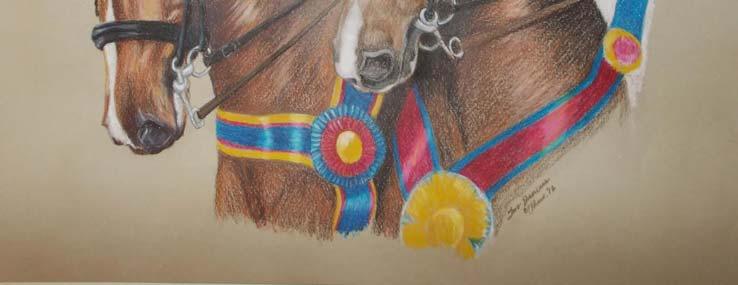 They are being presented at dressage shows from Devon to Del Mar and at