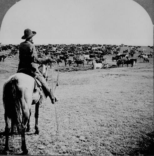 a $3 million capitol in exchange for 3 million acres of land in the Panhandle they started the XIT with the land SHOE BAR RANCH