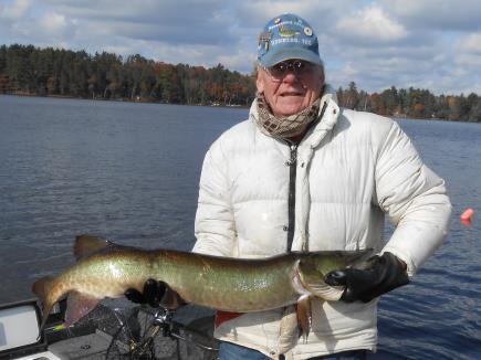Fish Report 4 617 fish registered as of Nov.13th with the biggest being 52 caught by Jeff Miller during the club outing on Lake of the Woods.