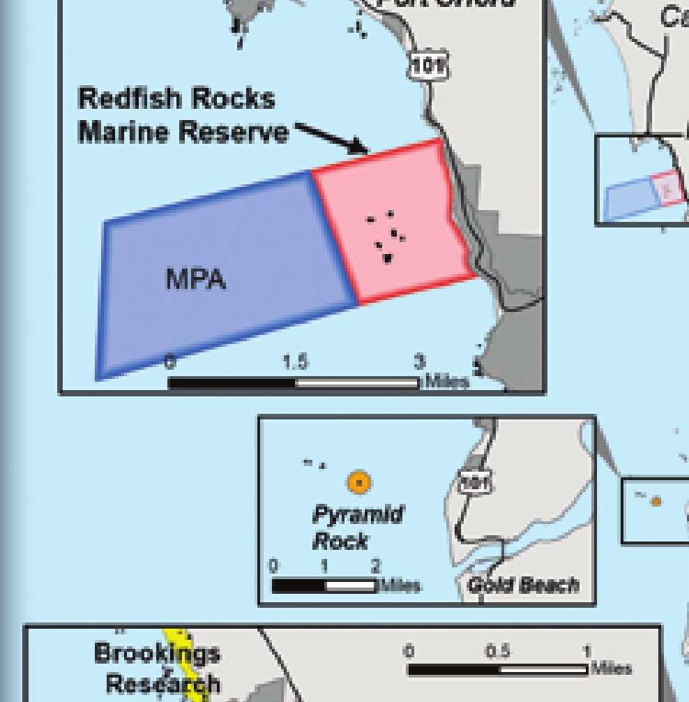 No take of shellfish and marine invertebrates, except abalone, clams, Dungeness crab, red rock crab, mussels, piddocks, scallops and shrimp may be taken in Area B.