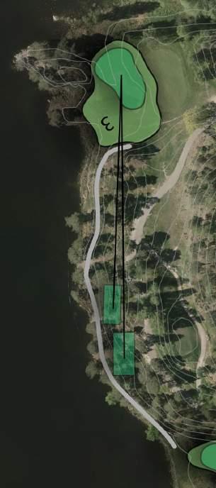 The green has a large part which falls away from the players which limits the possible pin-positions. Introduce signs to warn of safety issue. Remove large birch trees around green.