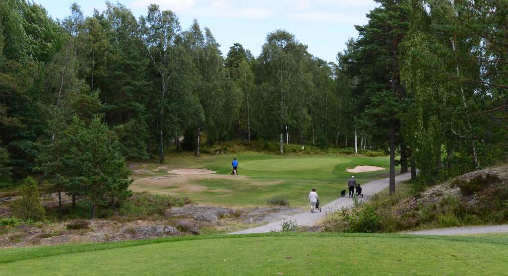 Hole 14 Strengths Nice setting with a green below the tees with a good woodland backdrop.