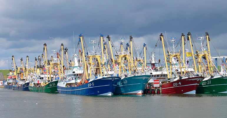 Your Help The Dutch fishing sector abounds with initiatives that aim to advance sustainability: saving on fuel, new fishing methods, different nets, research (often in collaboration with biologists)