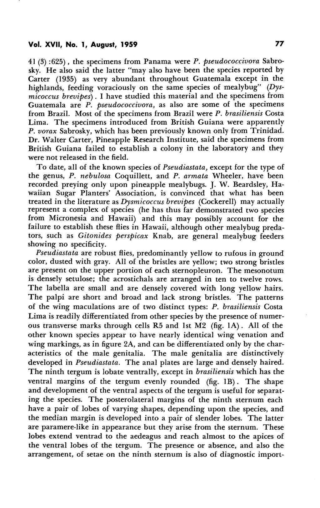 Vol. XVII, No. 1, August, 1959 77 41 (3) :625), the specimens from Panama were P. pseudococcivora Sabrosky.