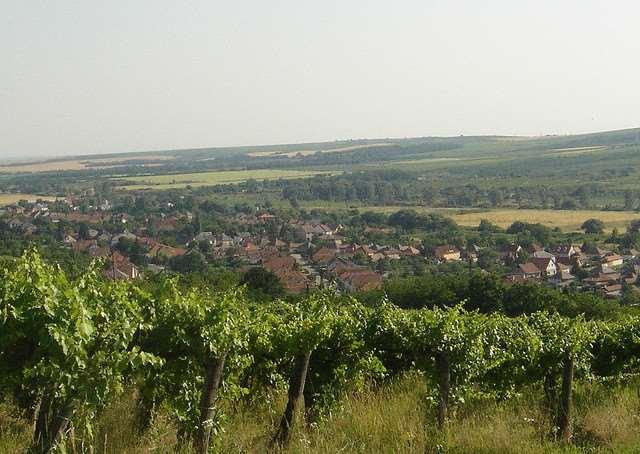Hungary Wine and Bike Balaton Uplands B Cycle Tour 2018 Individual Self-Guided or Guided 8 days / 7 nights Flickr.