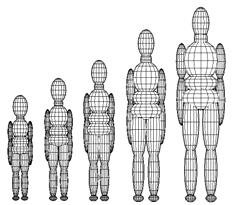 METHODS AND MATERIAL CHILD PEDESTRIAN MODELS - Fig.