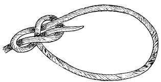 . Figure 4: Illustration of the Bowline knot used to tether the shrimp.