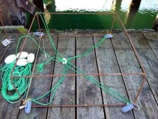 The shrimp tether was attached horizontally to the bottom rung of the frames.