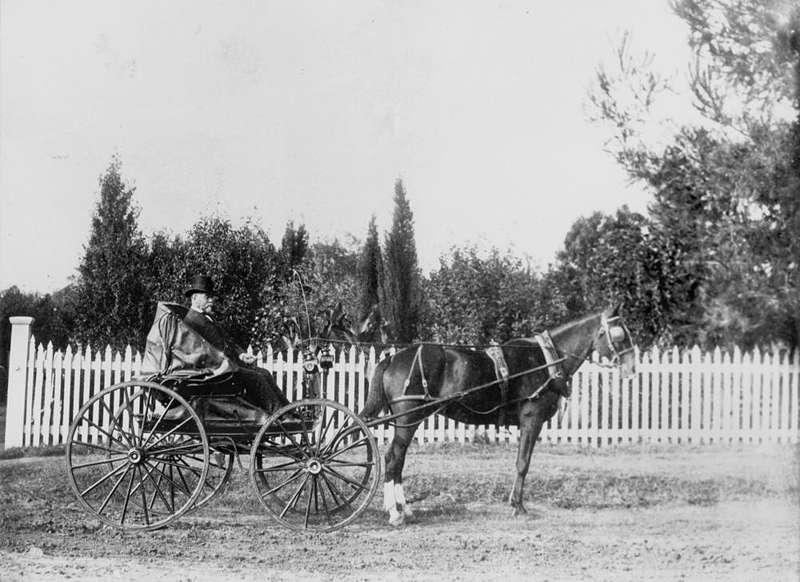 Doctor Frederick Margetts of Warwick driving a horsedrawn buggy, ca.