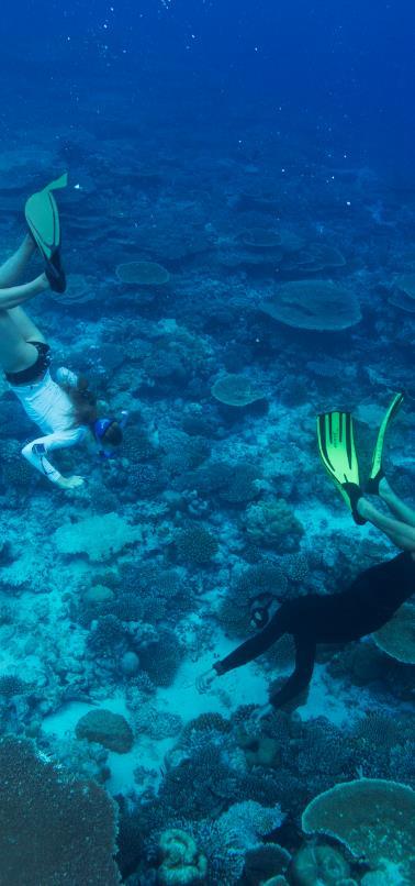 Snorkelling is one of the best ways to discover the fascinating Maldivian underwater life.