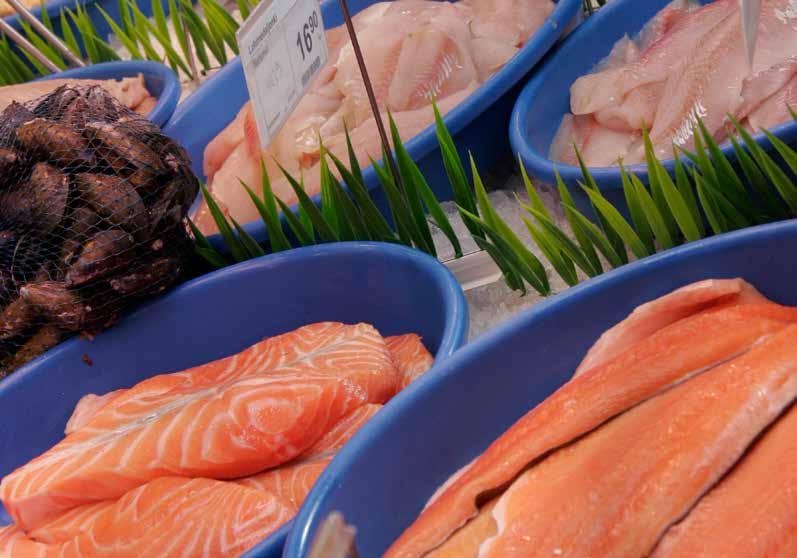 4. FISH PROCESSING AND TRADE Enterprises engaged in the fish trade and fish processing ensure the availability of fish products for consumers.