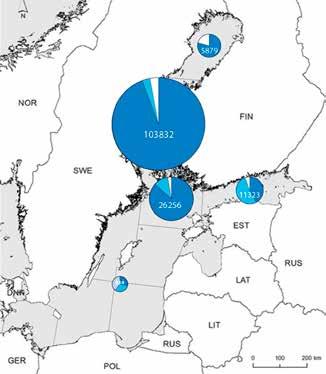 Trawling Baltic herring, sprat and cod trawling Value of approximately 31 million Euro (216)* Coastal and archipelago fishing Whitefish, pike-perch, perch, salmon and herring by fyke and net catch