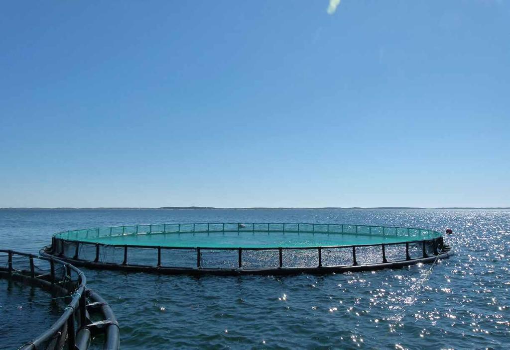 3. FISH FARMING Fish farming is an environmentally licensed and tightly regulated and controlled business.