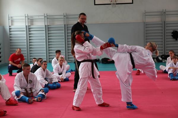 VZDELÁVANIE TRÉNEROV Plánované školenia trénerov v roku 2015 v jednotlivých regionálnych zväzoch: Stredoslovenský zväz karate: jún 2015 Západoslovenský zväz karate: september - október 2015 VÚKABU a