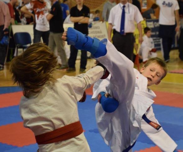 2015 Hungarian Tatami Karate Cup Budapest, Hungary 28.-29.11.